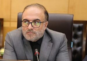 دولت باید برنامه‌های کنترلی خود در بازار را با جدیت بیشتری اجرا کند