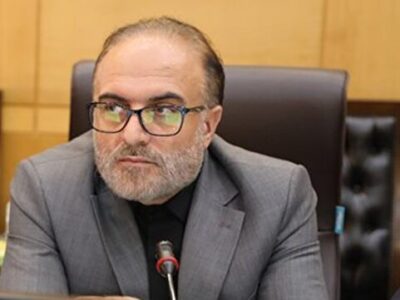 دولت باید برنامه‌های کنترلی خود در بازار را با جدیت بیشتری اجرا کند