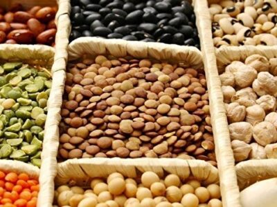 مشکلی برای تامین حبوبات ماه رمضان نداریم/قیمت هرکیلو لوبیا چیتی ۴۵۰ هزارتومان