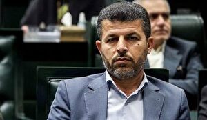 قیمت پیشنهادی مجلس برای گندم بین ۴۵ تا ۵۰ هزار تومان است