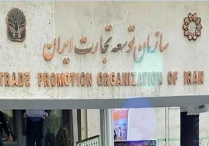 تجارت زیر سایه «سربازان سفید» / چگونه شرکت‌های کاغذی از فیلتر سازمان توسعه تجارت رد می‌شوند؟