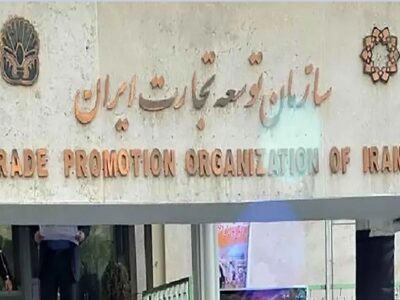 تجارت زیر سایه «سربازان سفید» / چگونه شرکت‌های کاغذی از فیلتر سازمان توسعه تجارت رد می‌شوند؟