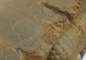 یادگاری نویسی تختجمشید پاک شد