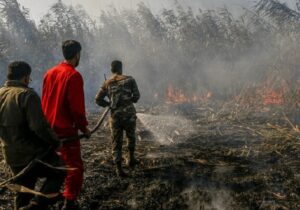 آتش‌سوزی در تالاب انزلی