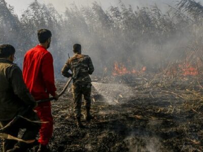 آتش‌سوزی در تالاب انزلی