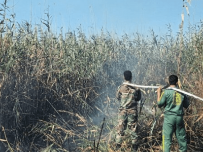 دستگیری عامل حریق در تالاب انزلی