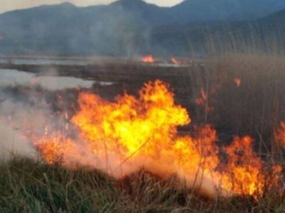 آتش‌سوزی گسترده در نیزارهای رودشور پرند