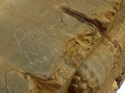 خبر تلخ از تخت‌جمشید/حکاکی بر پیکر ۲۵۰۰ ساله