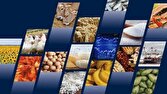 آغاز مرحله جدید توزیع ذخایر کالاهای اساسی در استان تهران