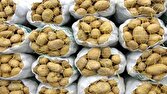 توزیع سیب زمینی از ذخایر احتیاطی در حال انجام است