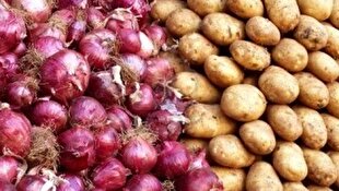 سیب زمینی و پیاز به وفور در بازار موجود است+ فیلم