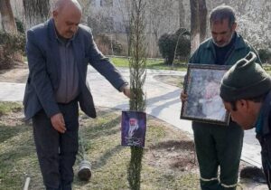 برگزاری آیین ملی و فرهنگی درختکاری با پویش مردمی «به یاد رهبر شهیدم» در منطقه یک