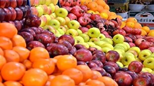 عرضه میوه شب عید آغاز شد/ توزیع سراسری میوه تنظیم بازار شب عید آغاز شد