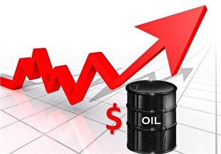 کنترل نفت فقط تا ۲۰ روز آینده در دست اقتصاد جهانی خواهد بود + فیلم