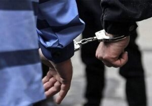 دستگیری ۵۴ نفر از افراد شرور سلطنت طلب و جاسوس توسط پلیس امنیت عمومی فراجا
