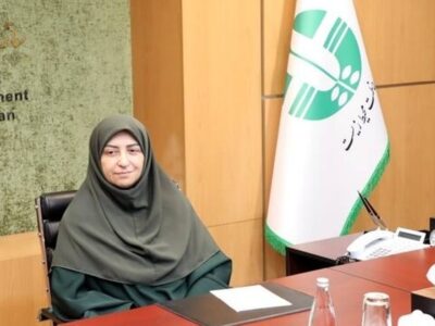 انصاری: جنگ تحمیلی، محیط زیست را در معرض تهدید قرار داده است