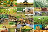 خودکفایی کالاهای استراتژیک گامی در جهت تحقق شعار سال