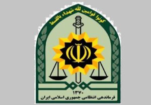 شناسایی و دستگیری ۴۶۶ مخل امنیت و فعال در فضای مجازی