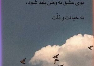 کنایه هافبک پرسپولیس به وطن فروشان و مزدوران
