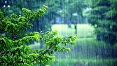 بارش اخیر نسبت به ۵۰ سال گذشته افزایشی بود