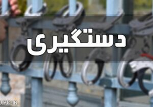 دستگیری ۲۳۵ عنصر وطنفروش در غرب تهران