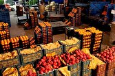 بازار گوجه فرنگی متعادل می شود/ کمبودی در عرضه میوه و صیفی نداریم
