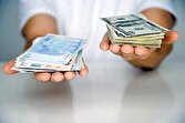 نرخ انواع ارز ۱۹ فروردین در مرکز مبادله ایران مشخص شد+ جزئیات