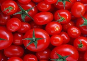 علت نوسانات بازار گوجه فرنگی چیست؟