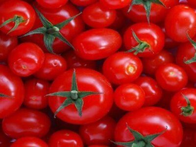 علت نوسانات بازار گوجه فرنگی چیست؟