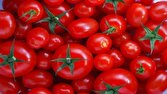 نیاز روزانه گوجه فرنگی استان تهران ۶۵۰ تن است/ قاچاق گوجه فرنگی از مرزهای کشور در حال انجام است