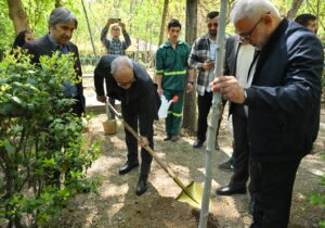 بوستان قیطریه میزبان نهالهای تازه در روز تولد امام شهید بود