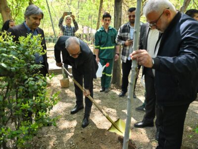 بوستان قیطریه میزبان نهال‌های تازه در روز تولد امام شهید بود