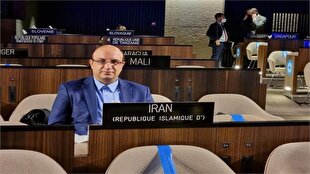 علینژاد: ۳۰ درصد بودجه فدراسیونها را واریز کردیم/ تأمین بهموقع منابع مالی برای آمادهسازی کاروان اعزامی به ناگویا در دستور کار است