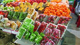 برآورد کاهش ۱۵ درصدی قیمت میوههای نوبرانه تا پایان هفته