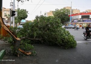 پیش‌بینی رگبار و وزش باد شدید در پایتخت از روز یکشنبه
