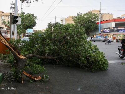 پیش‌بینی رگبار و وزش باد شدید در پایتخت از روز یکشنبه