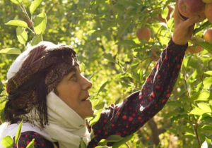 «مادران»؛ داستانی از عشق و استقامت در اقصی نقاط ایران