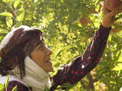«مادران»؛ داستانی از عشق و استقامت در اقصی نقاط ایران