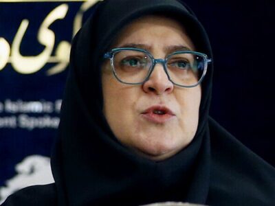 مهاجرانی: آغوش میهن همیشه برای ایرانیان خارج از کشور باز است