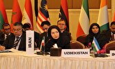 گسترش همکاریهای تجاری در قالب موافقتنامههای دو و چندجانبه