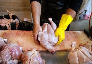 در بازار مرغ چه میگذرد/ توزیع مرغ منجمد به کمک تنظیم بازار آمد