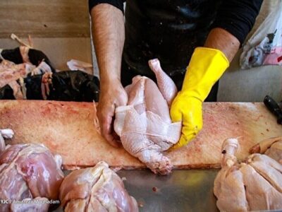 در بازار مرغ چه میگذرد/ توزیع مرغ منجمد به کمک تنظیم بازار آمد