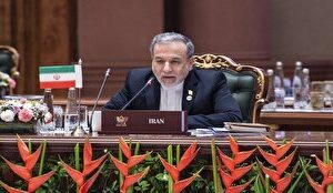 عراقچی: اصلاح شورای امنیت یک ضرورت برای بقای سازمان ملل است