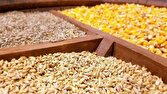 مشکلی در تامین نهاده دامی نداریم