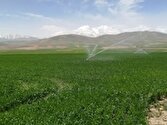 وزارت نیرو سهم آب بخش کشاورزی برای سال جدید را اعلام کند