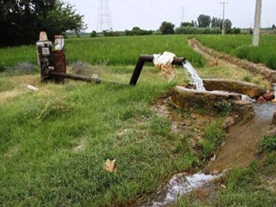 قطع برق چاههای کشاورزی تا ۷۰ درصد تولید محصولات اساسی را کاهش میدهد