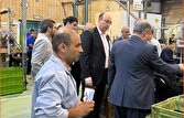 فروش جدید شاهین امسال آغاز می شود