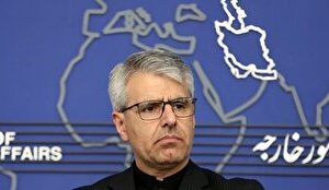 بقائی: سیاستهای غیرمسئولانه، عامل شکست آلمان در عضویت شورای امنیت بود