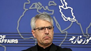 بقائی: سیاستهای غیرمسئولانه، عامل شکست آلمان در عضویت شورای امنیت بود