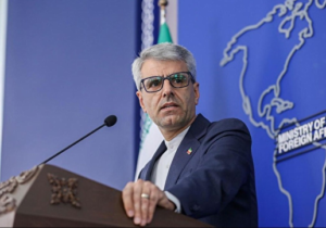 بقایی: ایران و عمان امنیت تردد در تنگه هرمز را تأمین میکنند/ هزینههای خدمات ناوبری و بیمه کشتیها طراحی و دریافت میشود